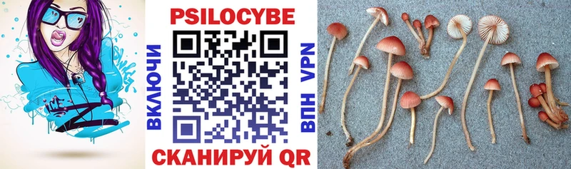 Псилоцибиновые грибы ЛСД  купить закладку  Туран 